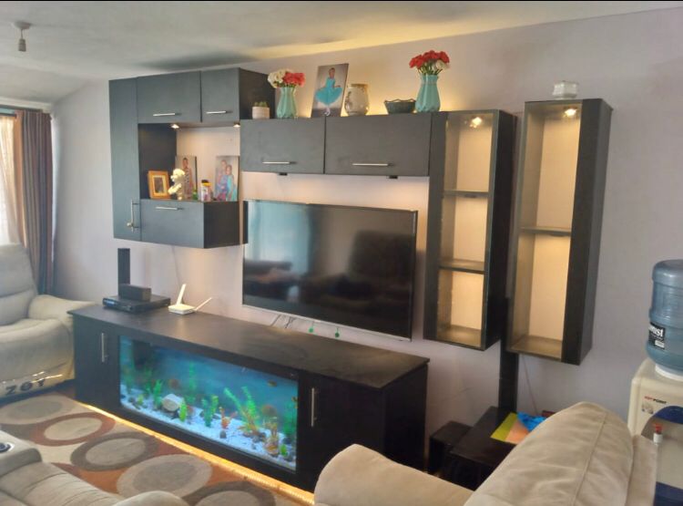 Large Aquarium in a wall unit