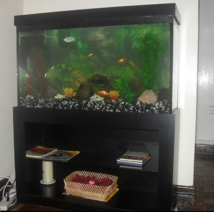 Medium aquarium in a book shelf