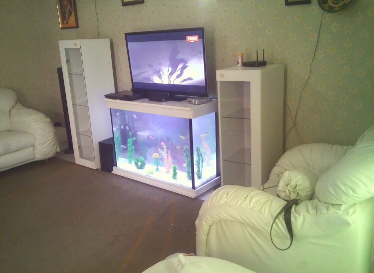 Aquarium in a cabinet stand