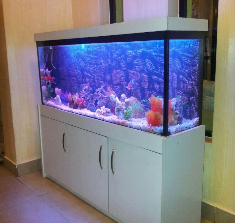 Aquarium in a cabinet stand